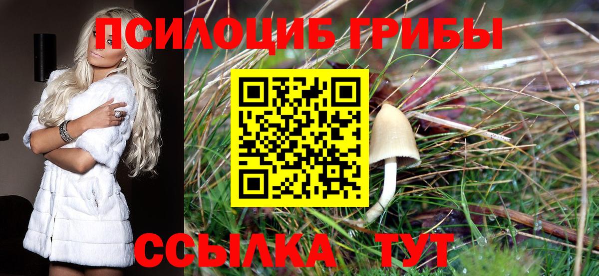 Галлюциногенные грибы ЛСД  Псилоцибиновые грибы прущие грибы  Вход с VPN  Сердобск 